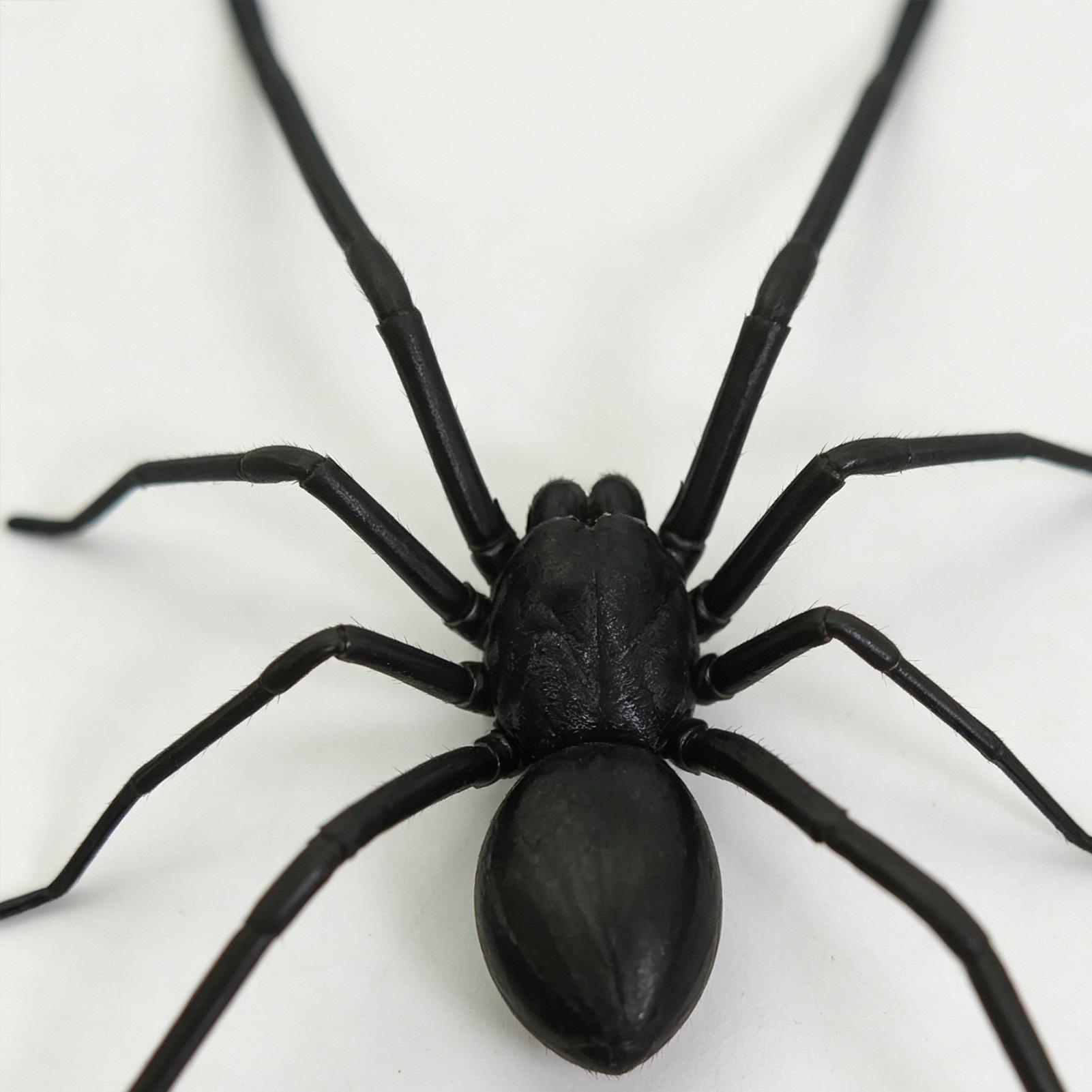 Kitchen Gadgets Men - Lifelike Spider Refrigerator Magnet Prank Gadget