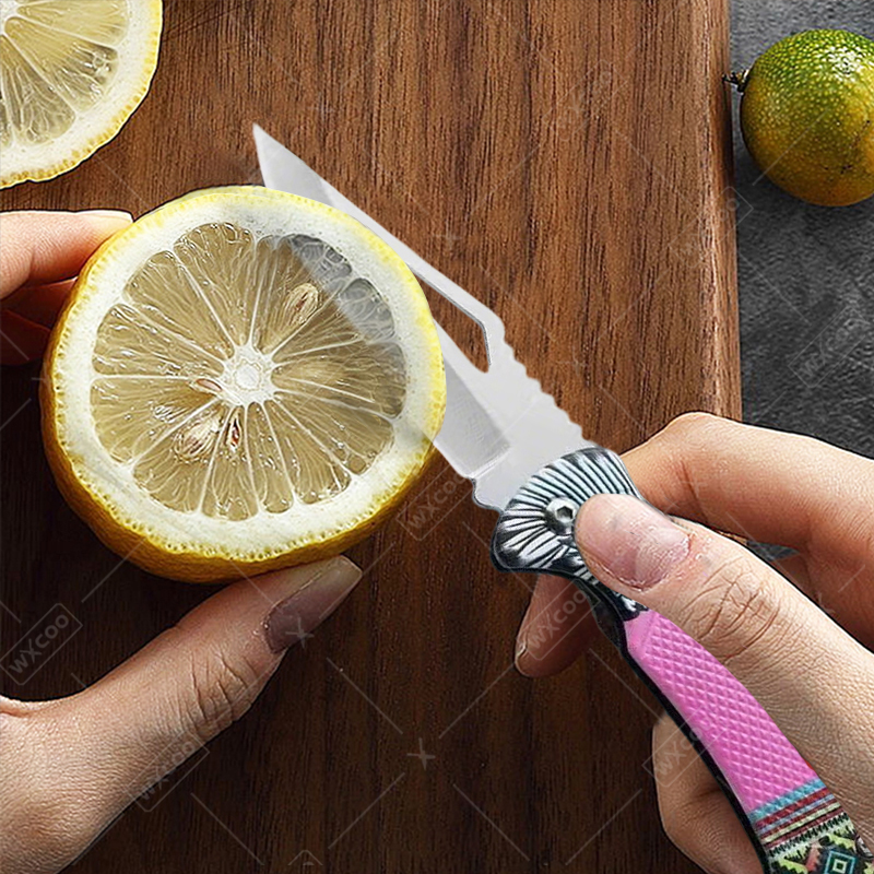 WXCOO Folding Knife Stainless  - Kitchen Gadgets Sale 리뷰 및 가격
