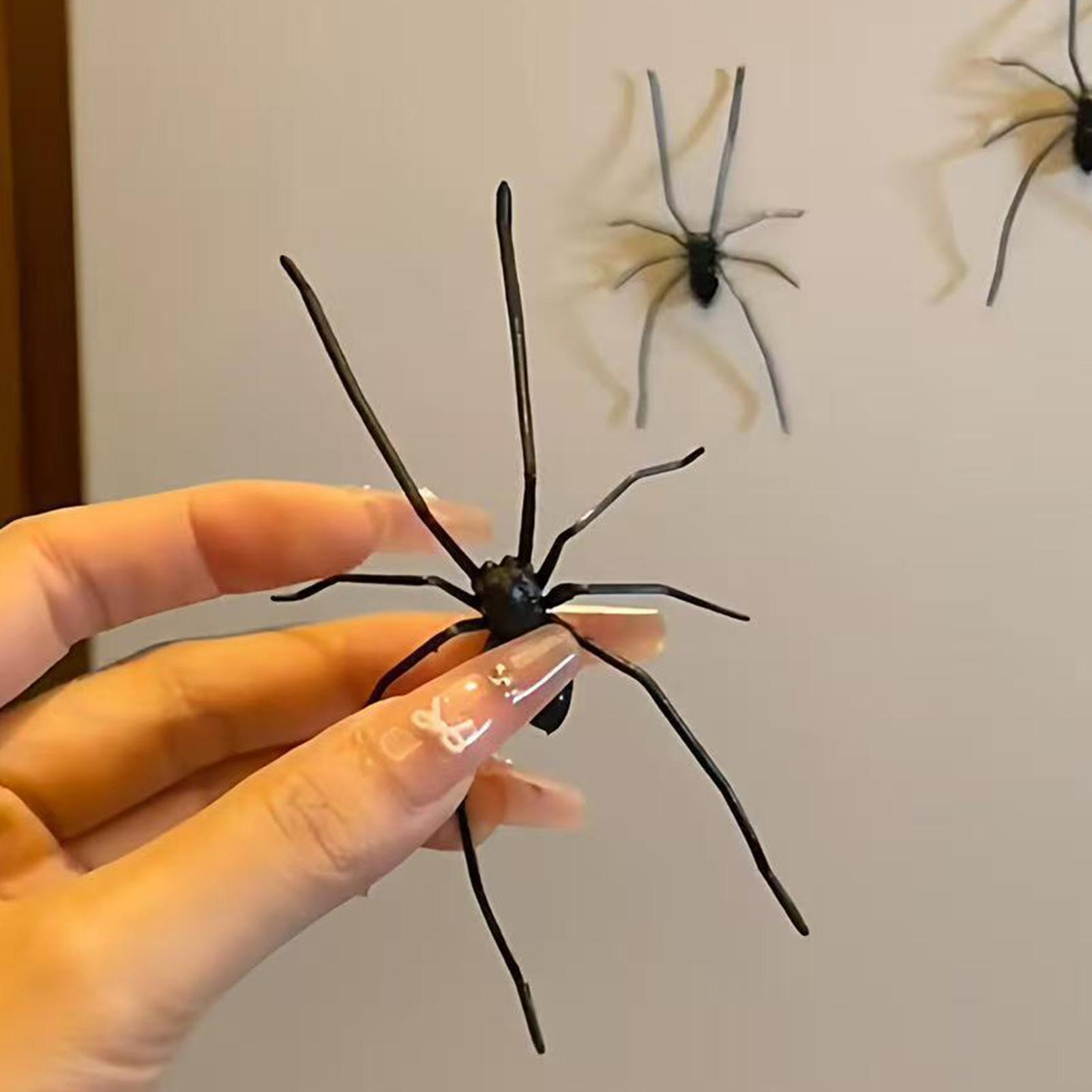 Lifelike Spider Refrigerator M - Kitchen Gadgets Men 리뷰 및 가격