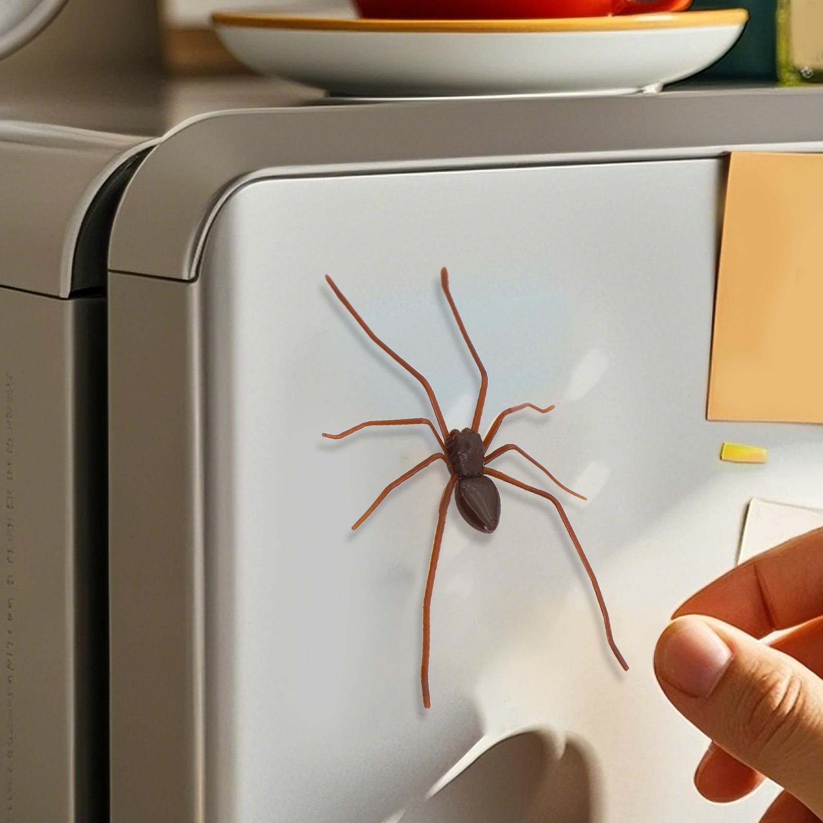 Lifelike Spider Refrigerator M - Kitchen Gadgets Men 리뷰 및 가격
