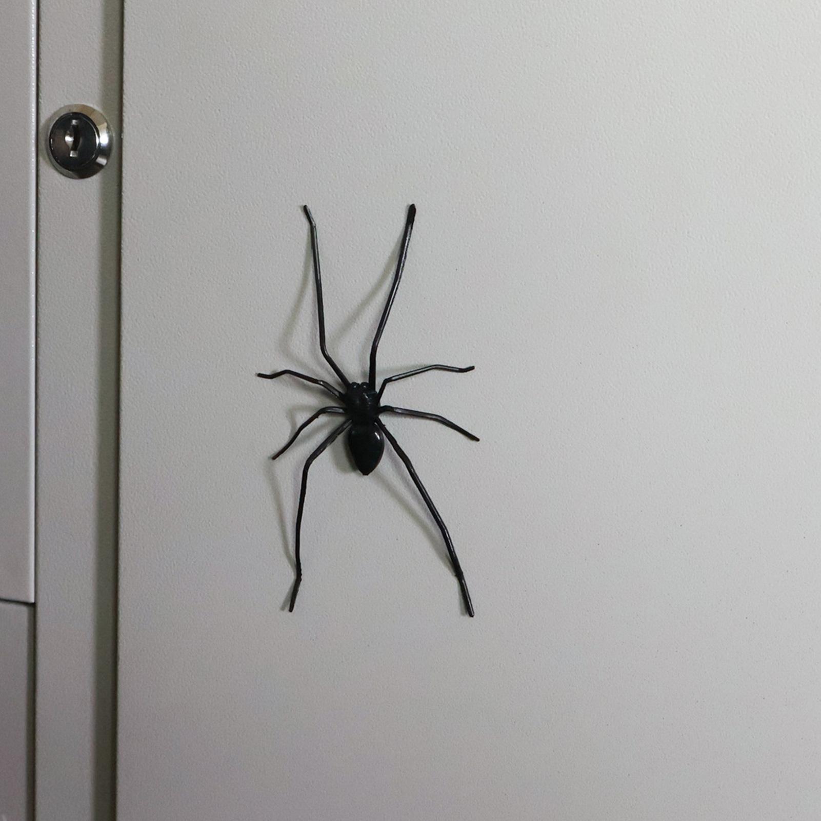 Lifelike Spider Refrigerator M - Kitchen Gadgets Men 리뷰 및 가격