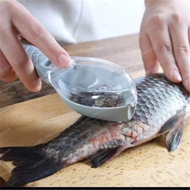 Popular Fish Scale Scraping Ar - Kitchen Gadgets Popular 리뷰 및 가격