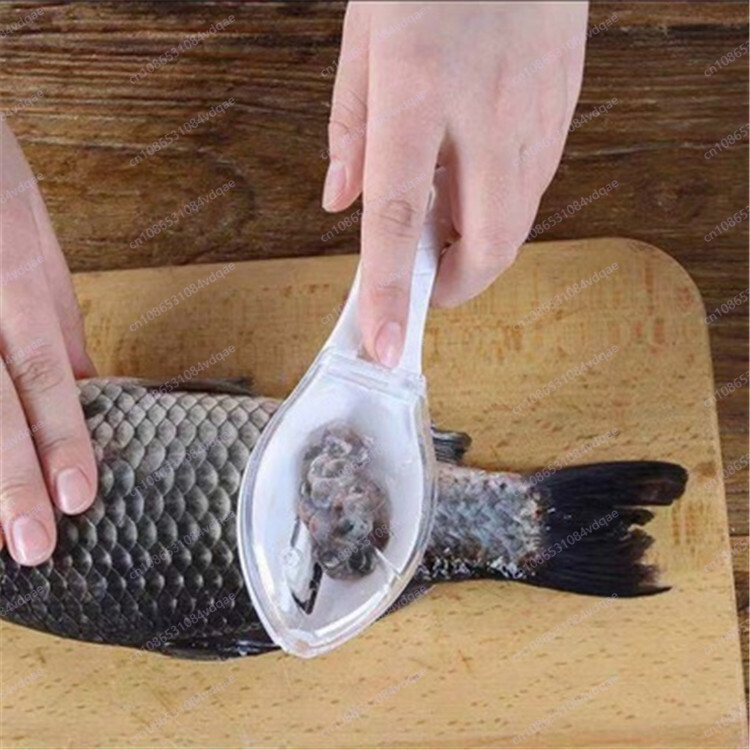 Popular Fish Scale Scraping Ar - Kitchen Gadgets Popular 리뷰 및 가격