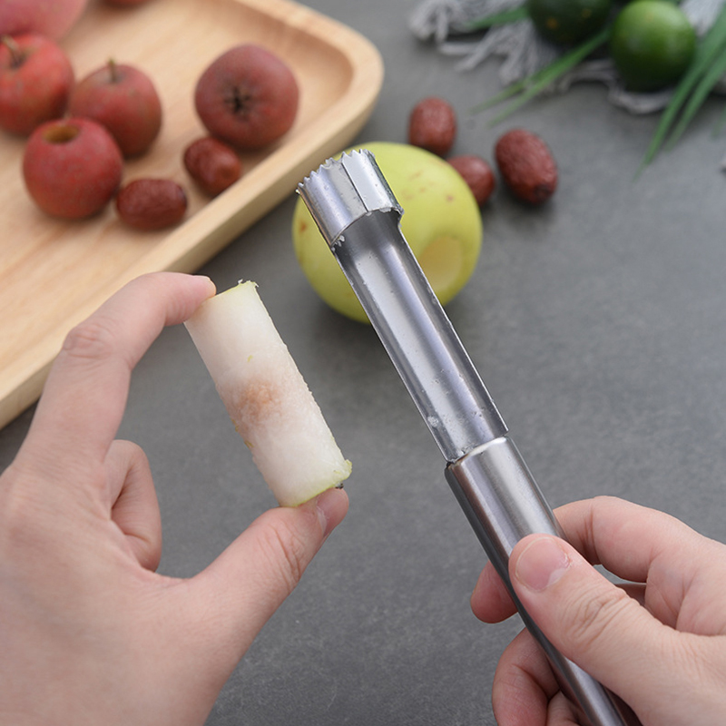 Stainless Steel Fruit Corer Ap - Kitchen Gadget Amazon 리뷰 및 가격