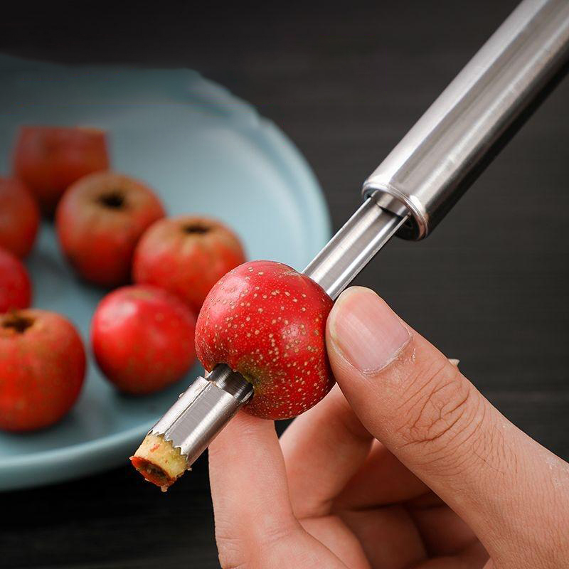 Stainless Steel Fruit Corer Ap - Kitchen Gadget Amazon 리뷰 및 가격