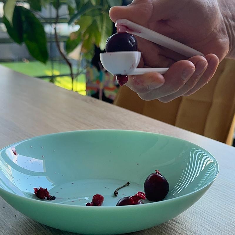 3D Printed Cherry Pitter, Easy - Kitchen Gadgets To 3D Print 리뷰 및 가격