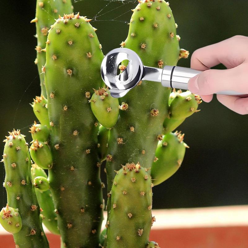 Home Kitchen Tool Peeler Multi - Kitchen Gadgets List 리뷰 및 가격