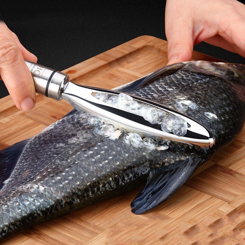 Stainless Fish Scales Scraping - Kitchen Gadgets For Seniors 리뷰 및 가격